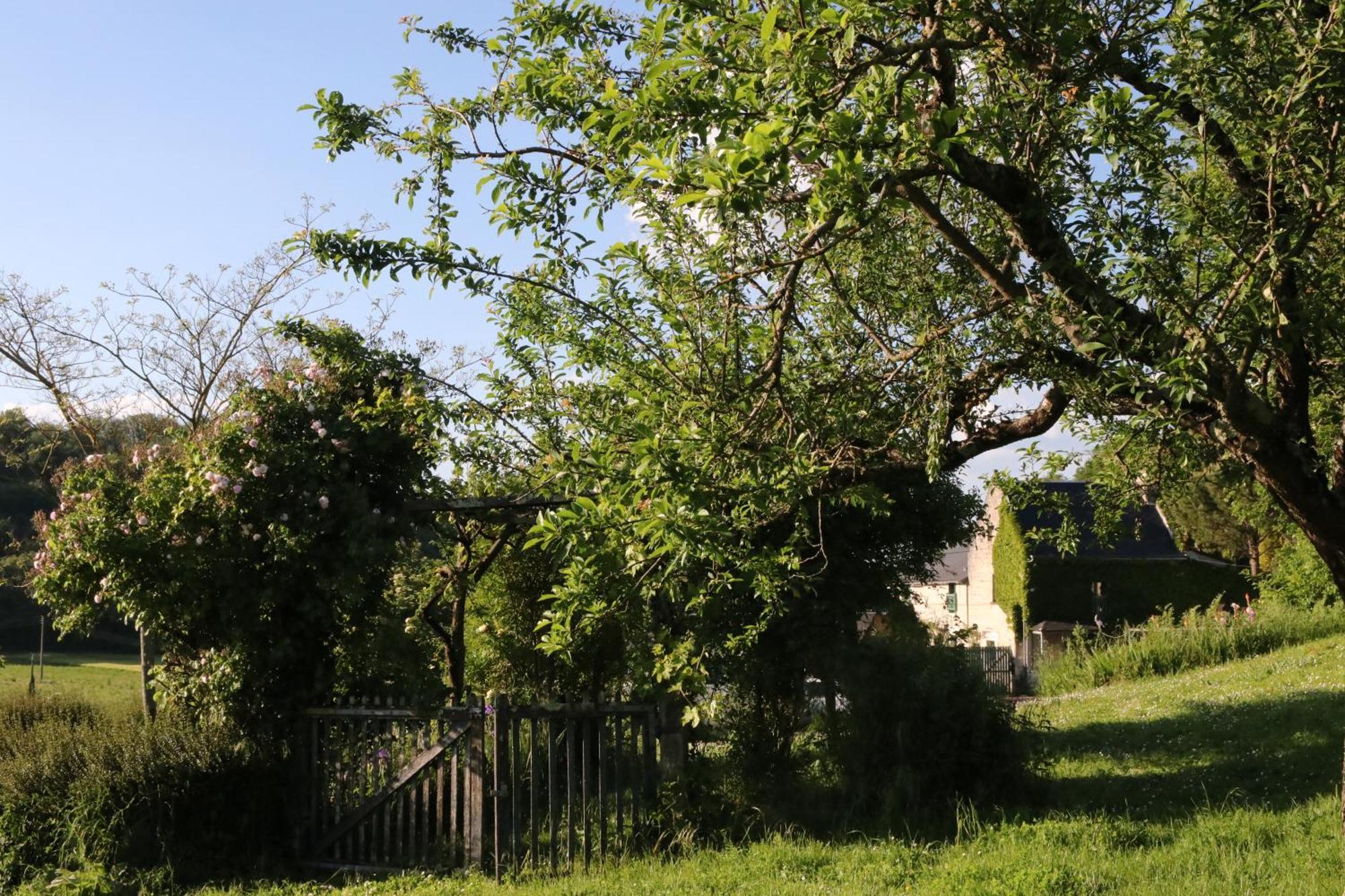 Chambres D'Hotes Du Noisillet Cinais Exterior foto