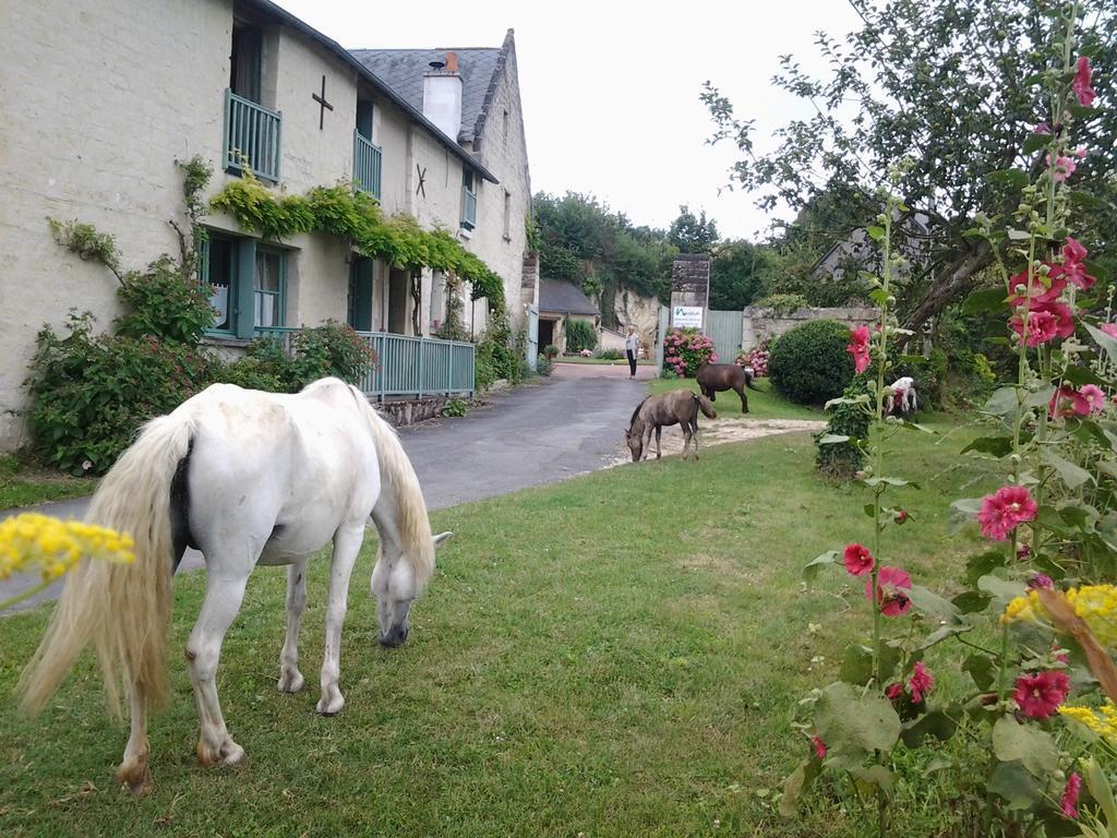 Chambres D'Hotes Du Noisillet Cinais Exterior foto
